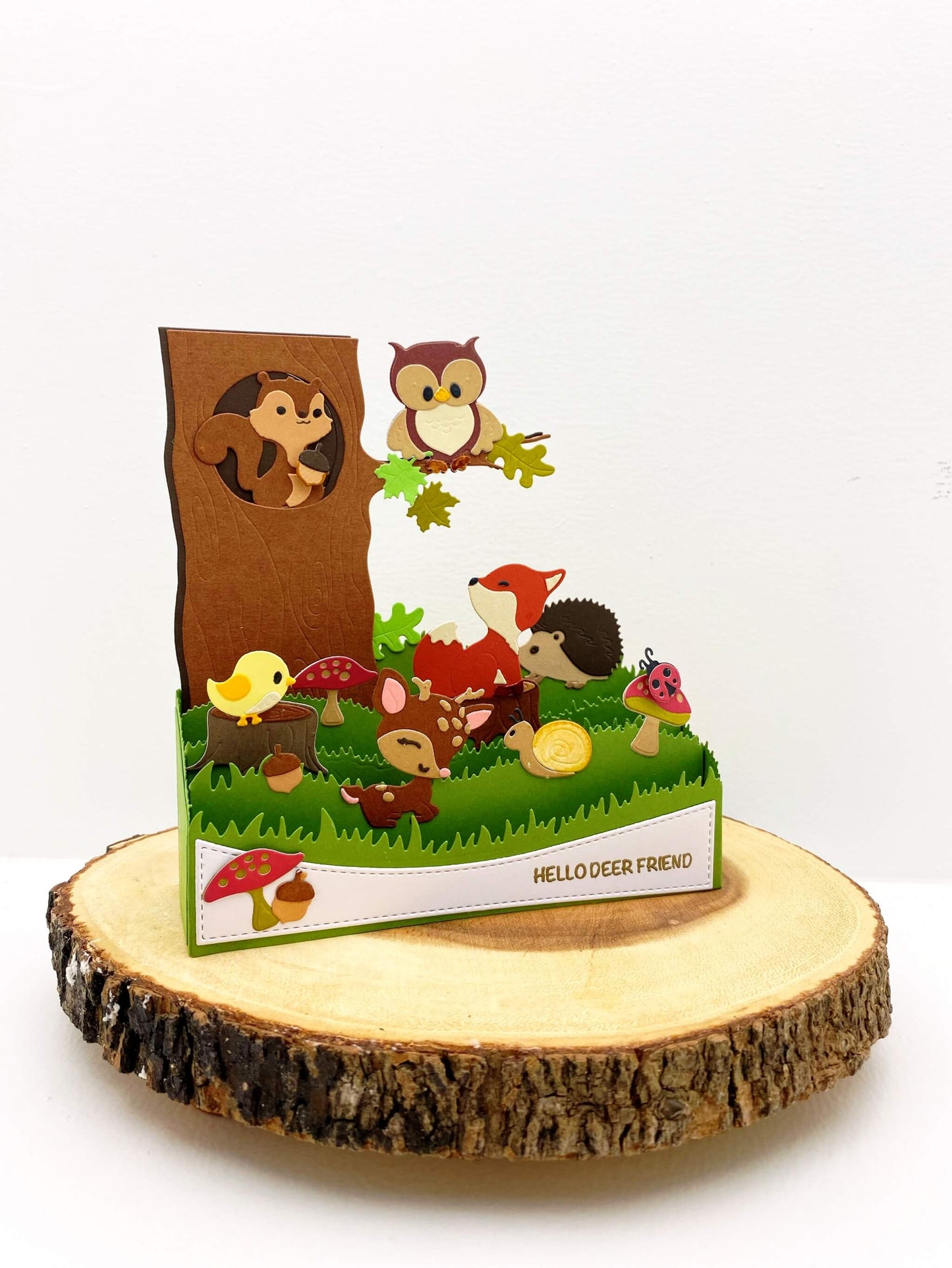 Spring Box Card die set