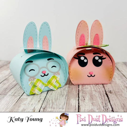 Treat Boxes with Katy!