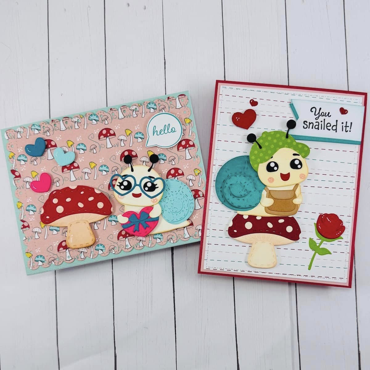 Snail Lover Die Bundle