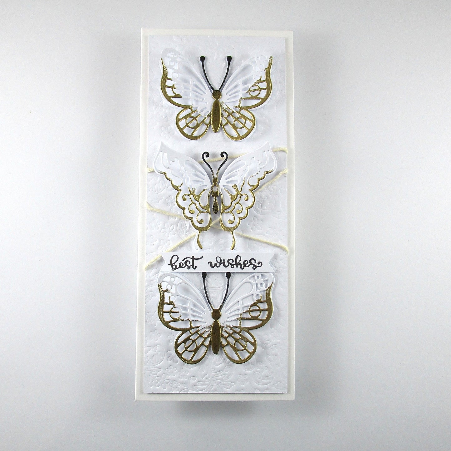 Fancy Butterflies Die